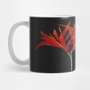 Twin Blossom Mug